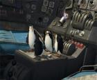 Πιγκουΐνους επισκευαστεί ένα παλιό συνετρίβη αεροπλάνο